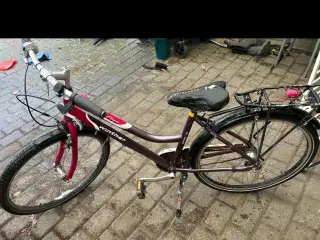 Billig winter cykel 