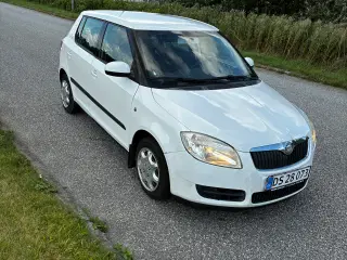 Skoda fabia (Ny synet)