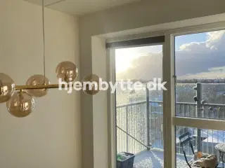 Hjembytte - Malervangen