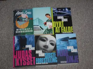Anna Grue  Mysteriet i Genbrugsen