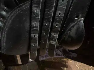 Theo Sommer Springsadel 