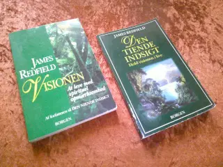 Jagten på den tiende indsigt m.fl., James Redfield