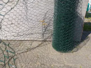 Hønsetråd