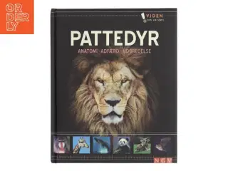 Pattedyr (Bog)