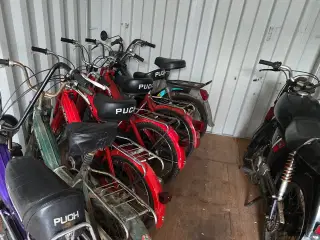 Puch dele og knallerter købes
