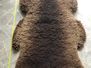 Skin fra ikke ryger hjem