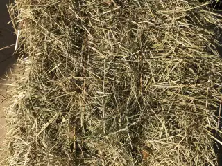 Hø i små håndterbare baller