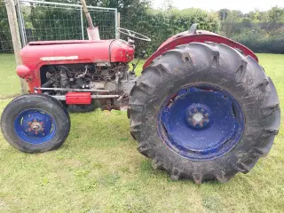MF 35 Benzin