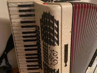 Bugari Championfisa m/Midi