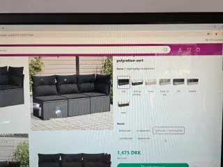 pollyrattan sofa