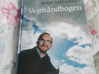 Spændende Vejr bog 10 kr