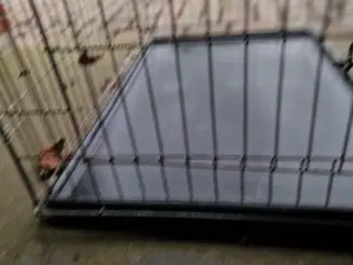 Hundebur til stor hund