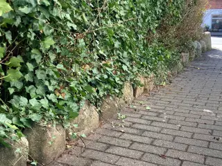 Gratis sten