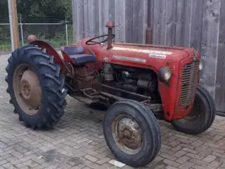 Massey Ferguson 35 Multipower købes 