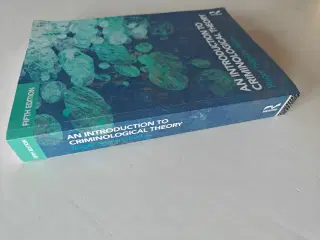 An Introduction to Criminological Theory