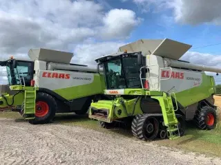 CLAAS MEJETÆRSKERE KØBES