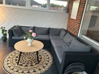 Loungesofa i polyrattan med sofabord og tæppe