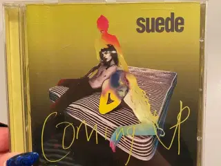 Suede - coming up