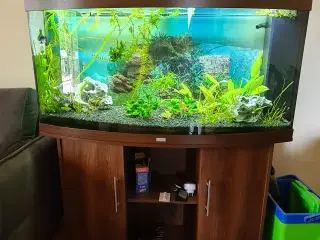 Juvel Akvarie 350 ltr.