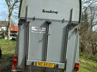 Brenderup Hestetrailer 