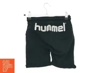 Hummel shorts (str. 122 cm)