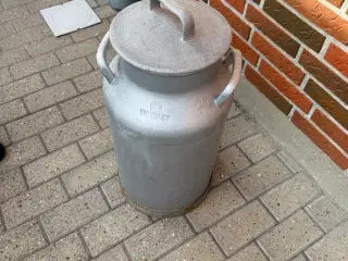 Mælkejunge