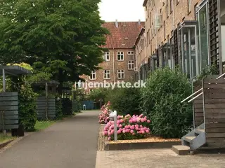 Hjembytte - Borgbjergsvej