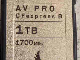 AV PRO, CFexpress B, 1TB