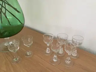 5 gl.  glas. 