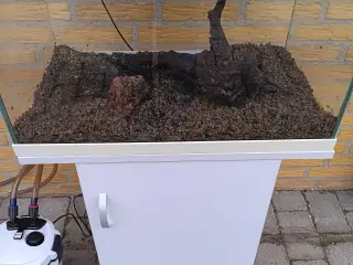 90 liters akvarie