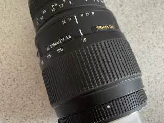 Nikon/Sigma Telezoom 70-300