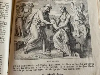Bibel Tysk