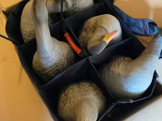 Avian X lokkegæs.NYE