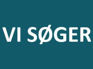 Gummi Vogn  SØGES  4 Hjulet Vogn  SØGES 