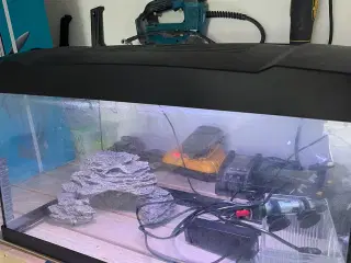 Fint akvarie
