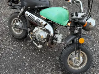 Monkey