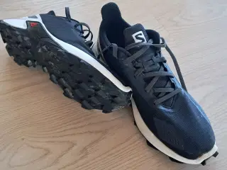 Salomon Alphacross Blast J str. 40