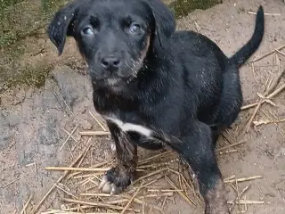 Grace leder efter sin egen familie 🩷