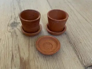 Miniurtepotter 