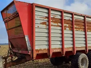 Tim 40 GSV