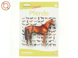 Pferde