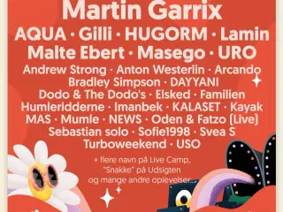 Købes - Smukfest fredag