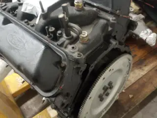 Ford 302 motor