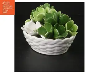 Kunstig sukkulent i keramikpotte