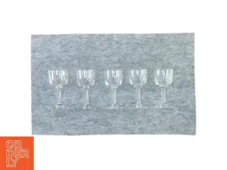 Snapseglas 5 styk (str. 10 cm x Ø5 cm )