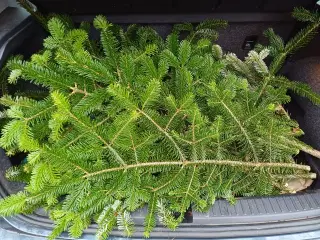 Dekorationsmateriale til krukker, kranse mm.