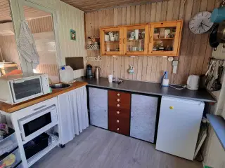 Kolonihave i skovly - bopælspligt i Vejle