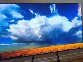 LG 77" OLED TV (OLED77CX6LA) – Fantastisk billede 