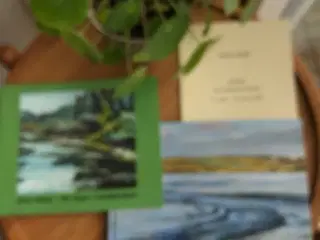 Finn Have - kunstbøger