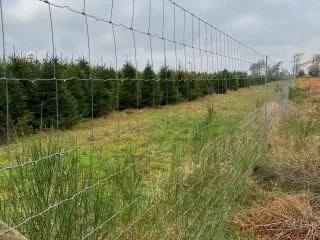 Godkendt hjortehegn. 2 meter højt, 200 meter.